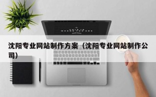 沙河沈阳专业网站制作方案（沈阳专业网站制作公司）